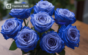 The images shows blue roses inside a glass vase.