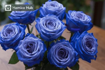The images shows blue roses inside a glass vase.