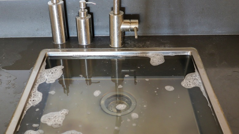 The image shows a clogged kitchen sink.