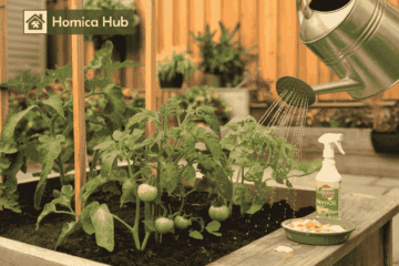 The image shows a lush, green garden bed filled with mature tomato plants, now supported by sturdy stakes. A hide man watering the plants also shown in the image.